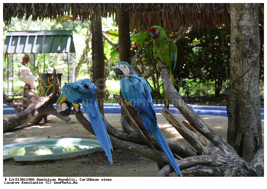 ������������� ����������, �������, �������, ������, �����, ��������� �������, �����, ������������� ����������, �����-����,  ����������, ������, ��������� �������, ��������� �������,  ������������� �����, �������, ����������� ���, ������, ������, ����, ��������� ����, �����, ������, �����������, ������, ������, ��������, �������, �������, ��������, �������� �������, �������, �������, �����, ��������, �����, �����, ��������� ��������, 