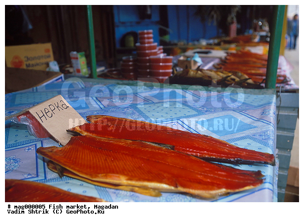 �������, ������ �����