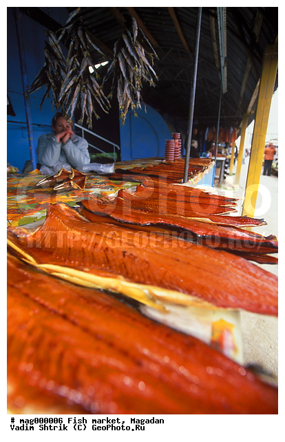 �������, ������ �����