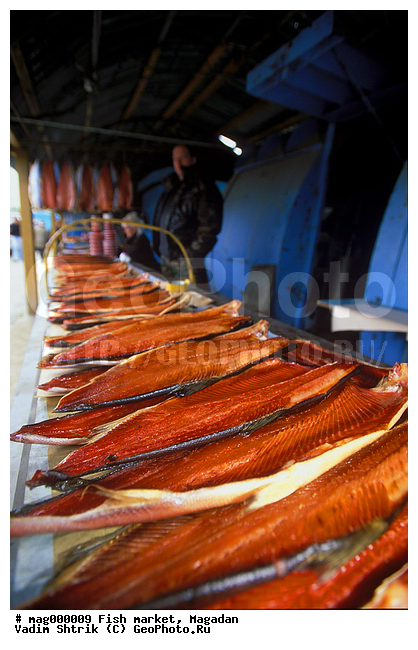 �������, ������ �����