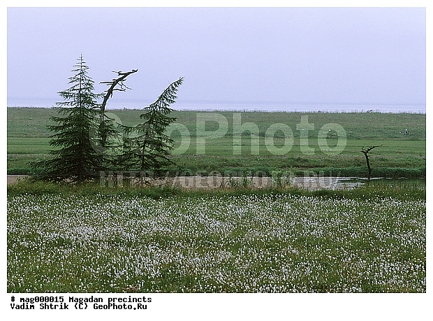 �������, �������, ����, ����������� ��������