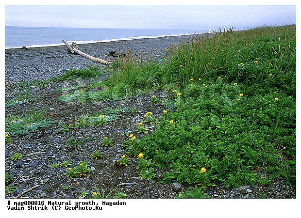 ���������� ��������������, ��������, �����