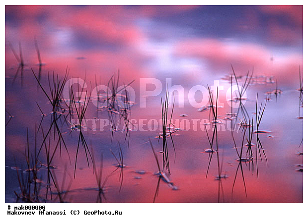 ��������� ����