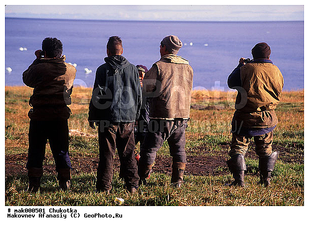 �����, �������, ����, �������, ��������