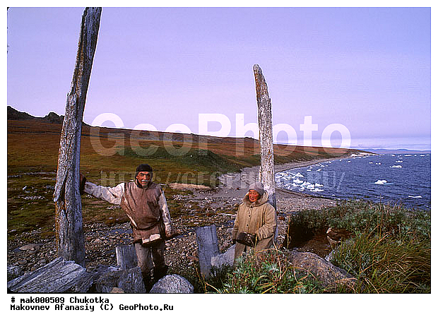 �����, �������, ����, �������, ��������