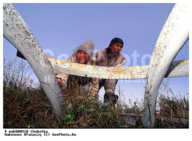 �����, �������, ����, �������, ��������