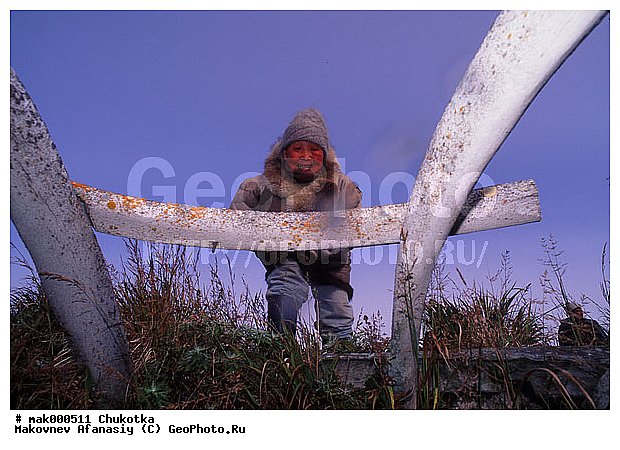 �����, �������, ����, �������, ��������