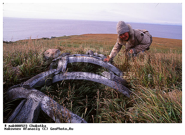 �����, �������, ����, �������, ��������