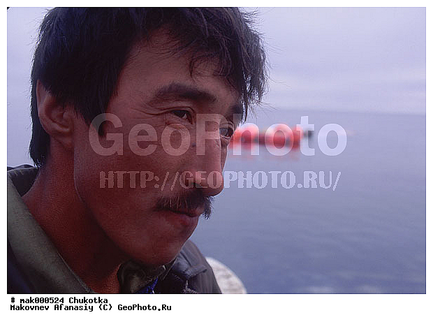 �����, �������, ����, �������, ��������