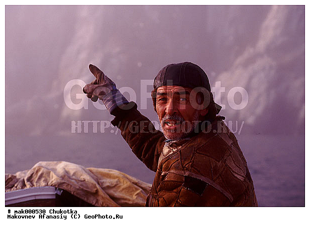 �����, �������, ����, �������, ��������