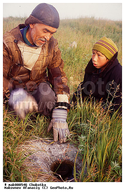 �����, �������, ����, �������, ��������