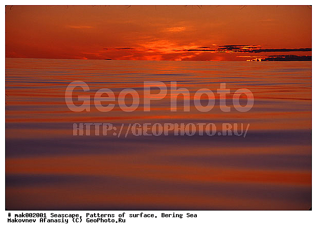 �������, �������, ��������� ����, ����, �����, �������� ���������, ����, �������, ���������, ������, �����������, �������, �������