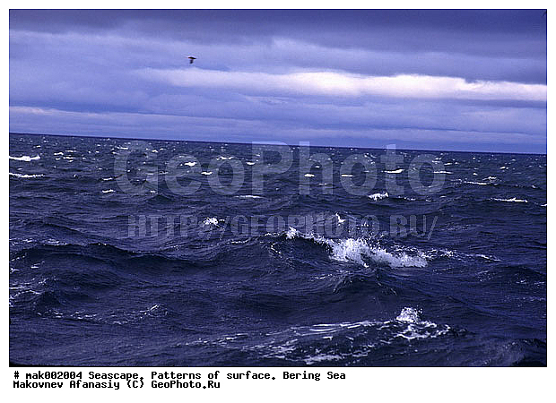 �������, �������, ��������� ����, ����, �����, ����, �������, ���������, ������, �����������, �������