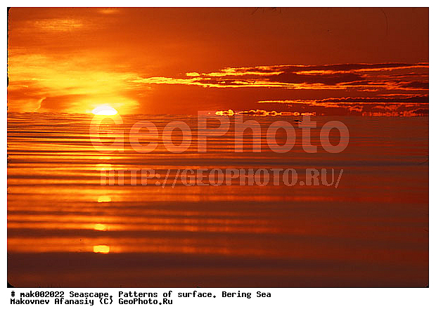 �������, �������, ��������� ����, ����, �����, �������� ���������, ����, �������, ���������, ������, �����������, �������, �������