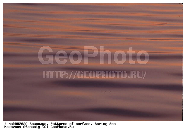 �������, �������, ��������� ����, ����, �����, ����, �������, ���������, ������, �����������, �������