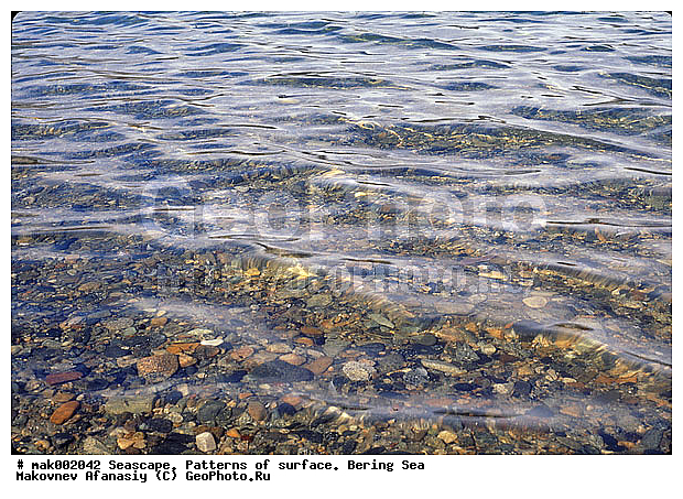 �������, �������, ��������� ����, ����, �����, ����, �������, ���������, ������, �����������, �������