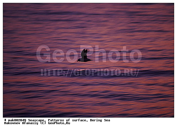 �������, �������, ��������� ����, ����, �����, ����, �������, ���������, ������, �����������, �������