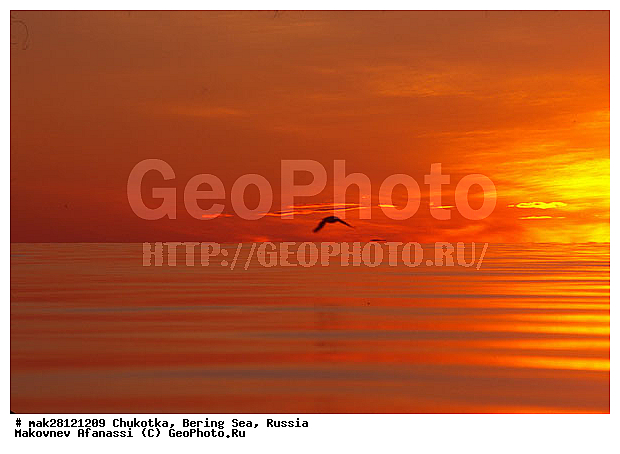 ��������� ����, ������, �������, ����� ����, ����, �������, ������� ������, ����, ���������, ���� ����, �����, ��������