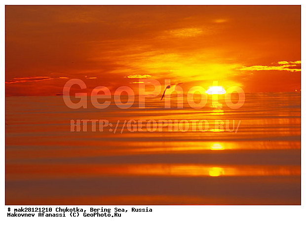 ��������� ����, ������, �������, ����� ����, ����, �������, ������� ������, ����, ���������, ���� ����, �����, ��������