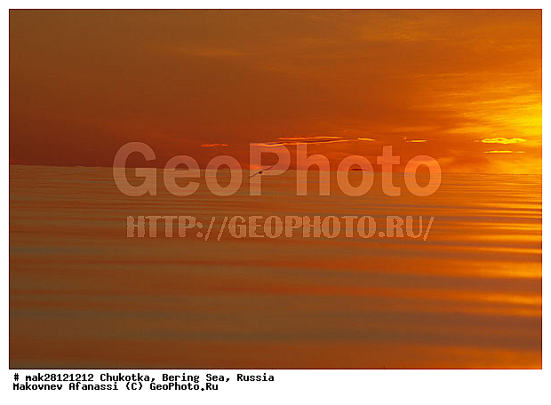 ��������� ����, ������, �������, ����� ����, ����, �������, ������� ������, ����, ���������, ���� ����, �����, ��������