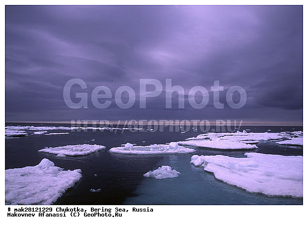 ��������� ����, ������, �������, ����� ����, ����, �������, ������� ������, ����, ���������, ���� ����, �����, ��������