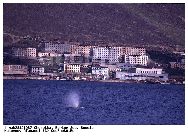 ��������� ����, ������, �������, ����� ����, ����, �������, ������� ������, ����, ���������, ���� ����, �����, ��������