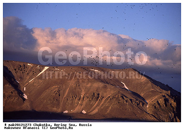 ��������� ����, ������, �������, ����� ����, ����, �������, ������� ������, ����, ���������, ���� ����, �����, ��������