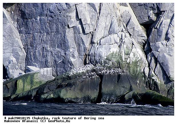 �����, �������, �������� ���������, ������, �������