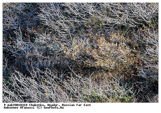 �������, �������, ���� ������