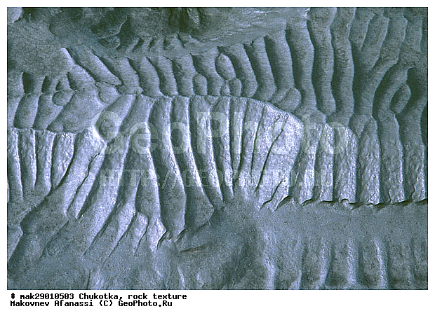 �����, �������, �������� ���������, ������, �������