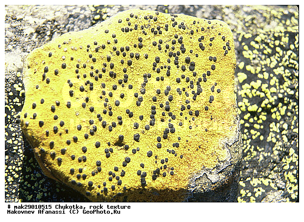 �����, �������, �������� ���������, ������, �������