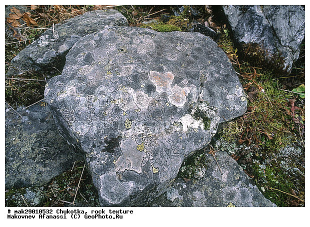 �����, �������, �������� ���������, ������, �������