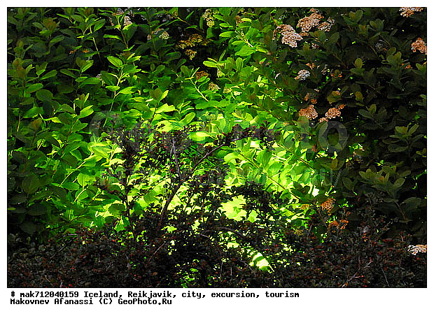 ��������, ��������, ��������� �� ������