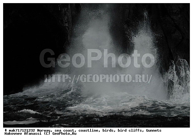 Gunnet, ��������, ������� ���������, �����, ������ ������, �����