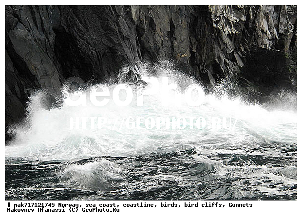 Gunnet, ��������, ������� ���������, �����, ������ ������, �����