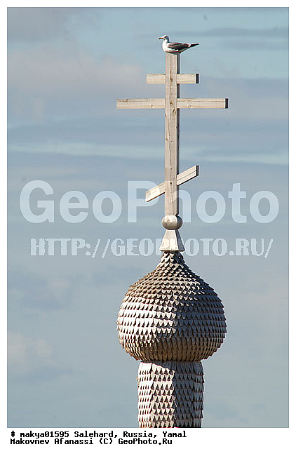 ���������, ��������, ����, �����, ����, ������