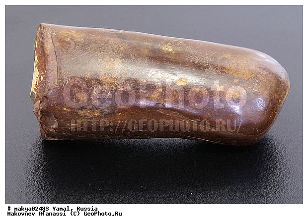 �������������, �����, ����� � ������ ���������, ��������