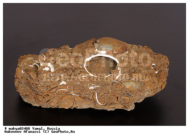 �������������, �����, ����� � ������ ���������, ��������