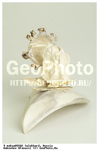 �������, ��������, �������� �������, �������, �������, ��������