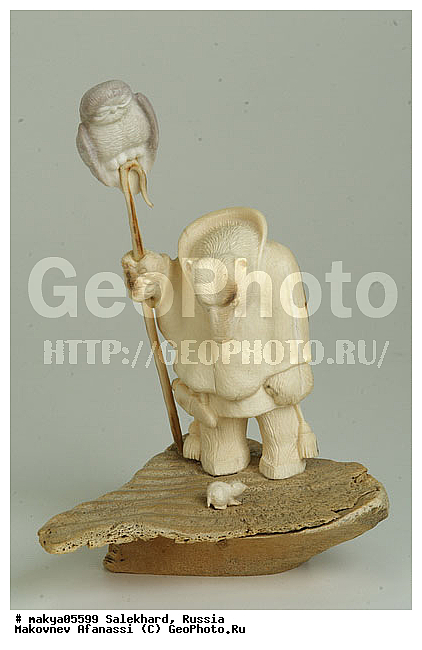 ��������, �������, ��������, �������� �������, �������, �������, ��������