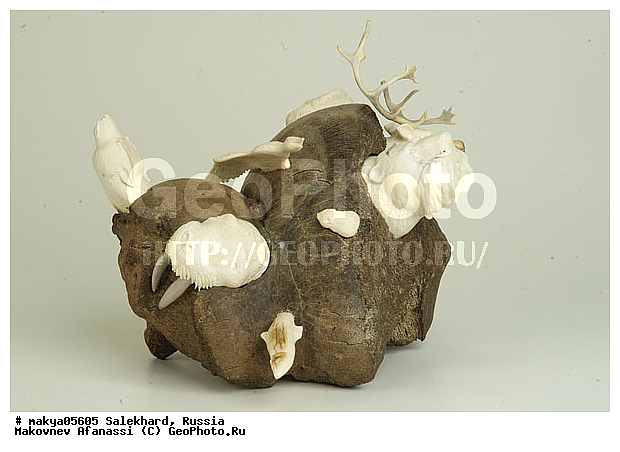 ��������, �������, ��������, �������� �������, �������, �������, ��������