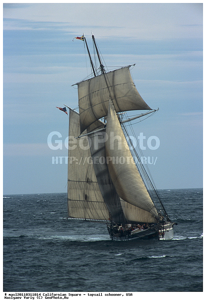 ��������, �������� �����, ������, ��� ��������, ��� �������, Californian Square , �����, ���