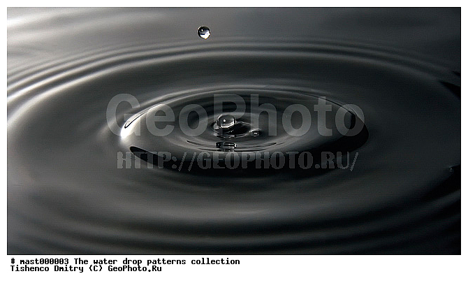 ������, �����, �����, ����������, ������, �������, ������������, �����������