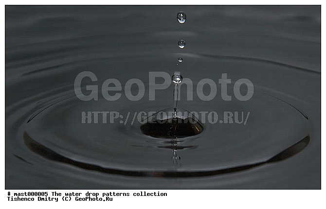 ������, �����, �����, ����������, ������, �������, ������������, �����������