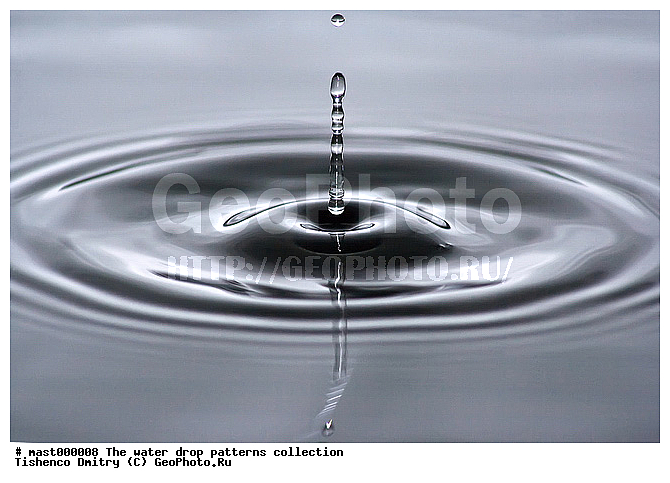 ������, �����, �����, ����������, ������, �������, ������������, �����������