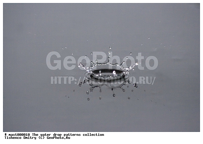 ������, �����, �����, ����������, ������, �������, ������������, �����������