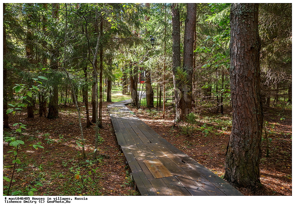  ���, �������, ������