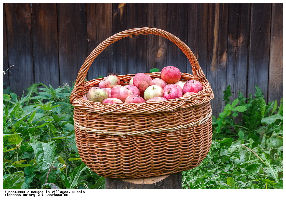  ���, �������, ������