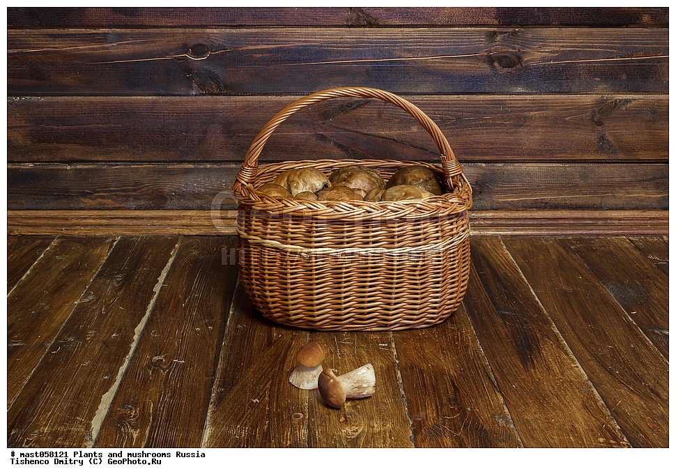 ��������, ������, �����