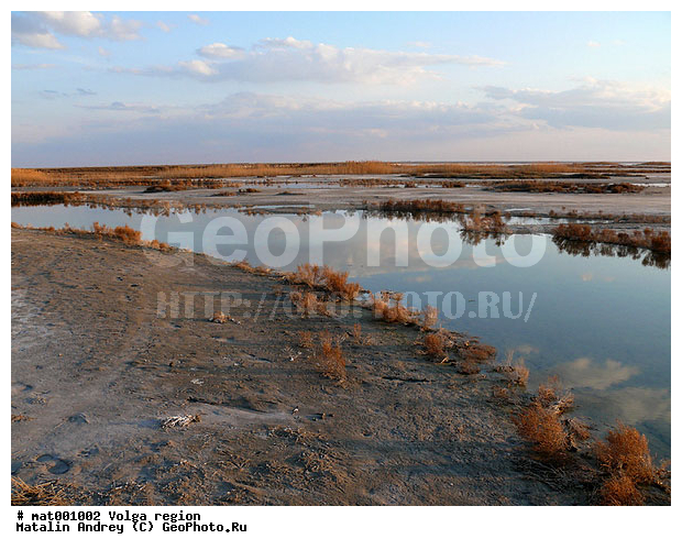 ������������� ���, ������ ��������, ���������, ����� ������, ������������ �����, ��������� ���� ����������, ���� ������� ��������, ���������, �����, ������